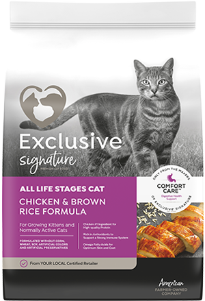Exclusive Signature All Life Stages Cat 15 lb