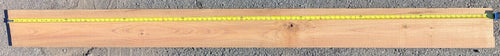 Rough Cut Pressure Treated Lumber 2 in. x 8 in. x 8 ft.