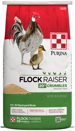 Purina® Flock Raiser® Crumbles