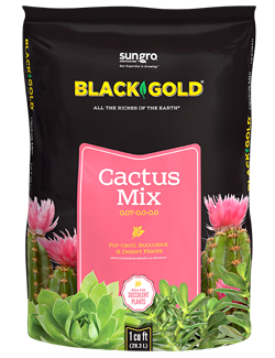 Black Gold Cactus Mix 8qt