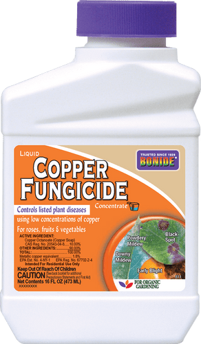 Bonide Copper Fungicide Conc
