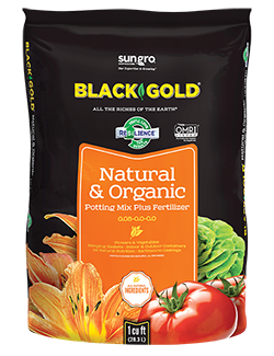 Black Gold Natural & Organic Potting Mix 8qt