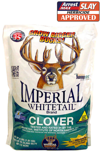 Imperial Whitetail Clover (Perennial)