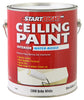 True Value Start Right Gallon White Ceiling Paint